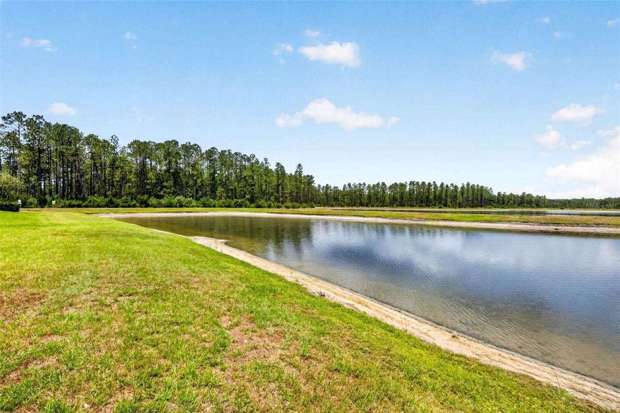 16181 November Rain Court, Land O Lakes, FL 34638 Photo