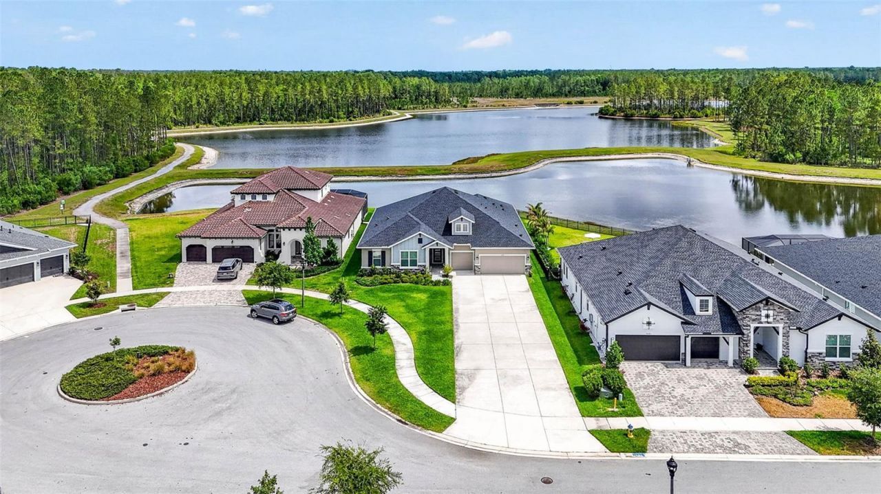 16181 November Rain Court, Land O Lakes, FL 34638 Photo
