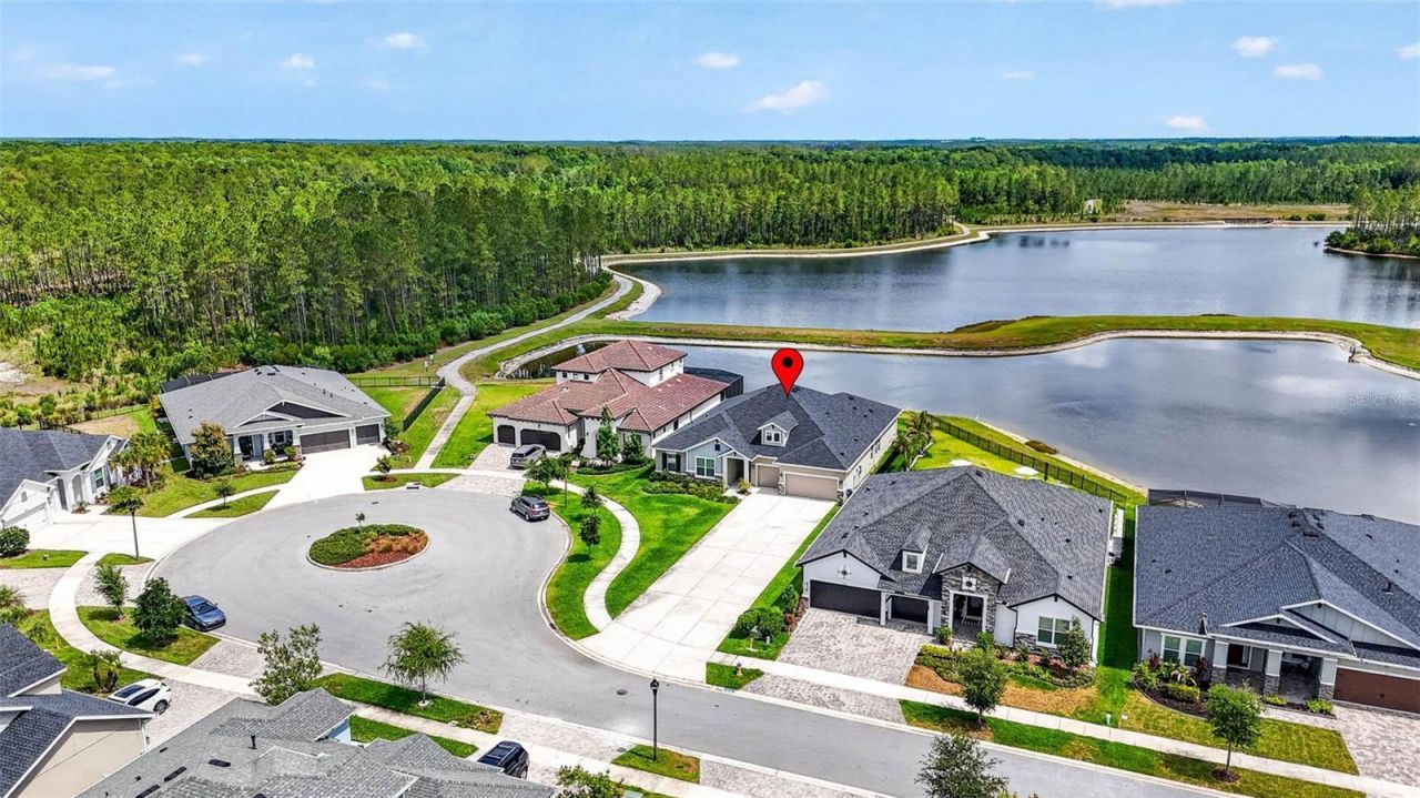 16181 November Rain Court, Land O Lakes, FL 34638 Photo