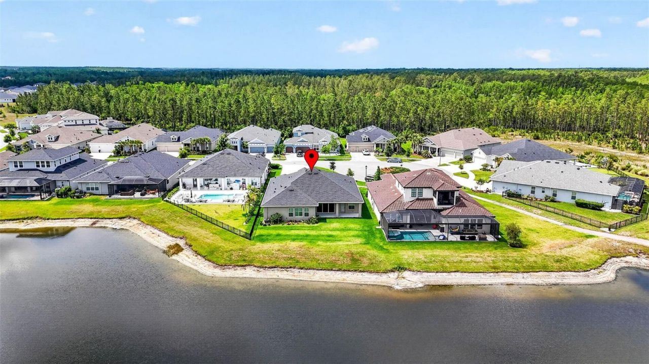 16181 November Rain Court, Land O Lakes, FL 34638 Photo