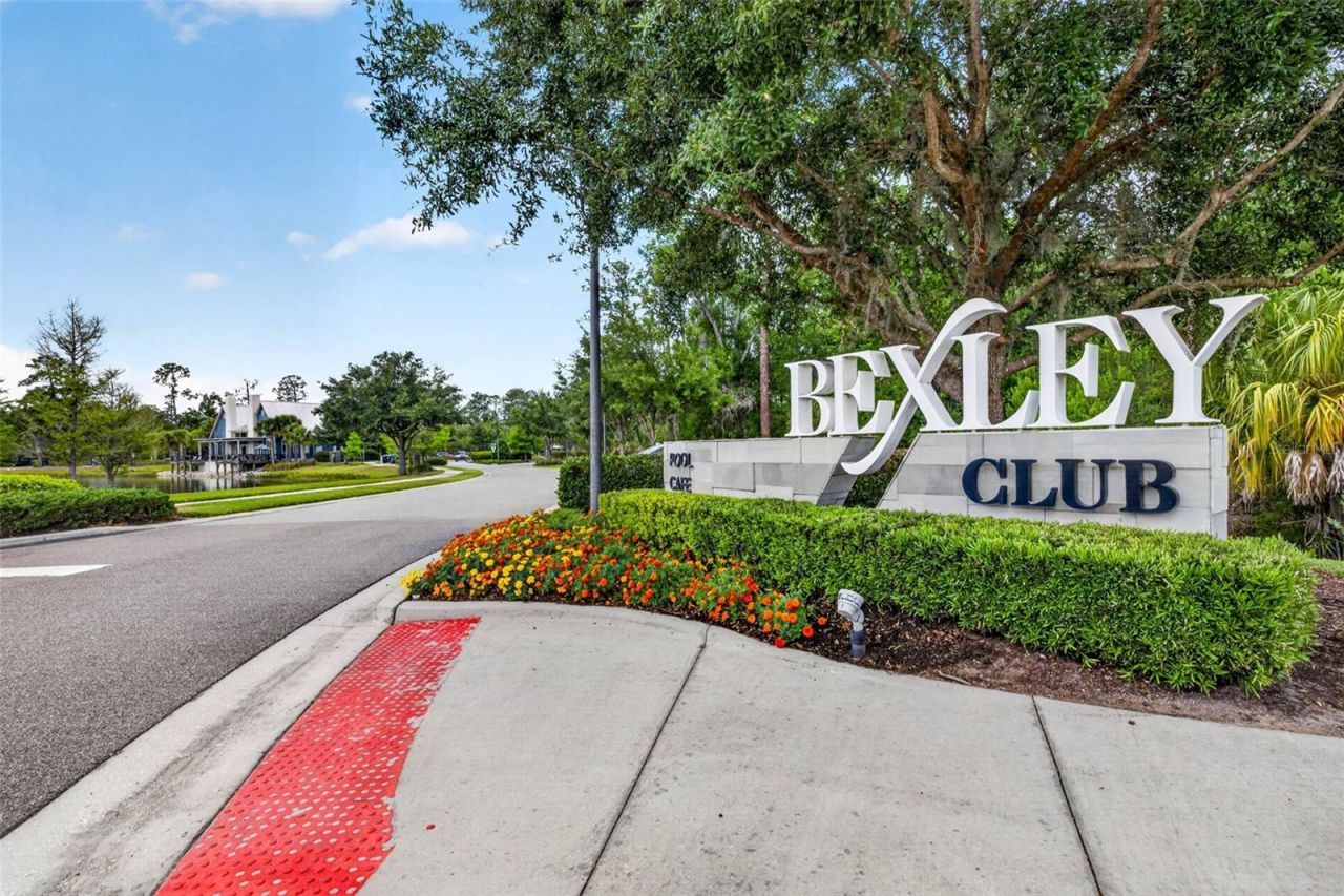 16181 November Rain Court, Land O Lakes, FL 34638 Photo