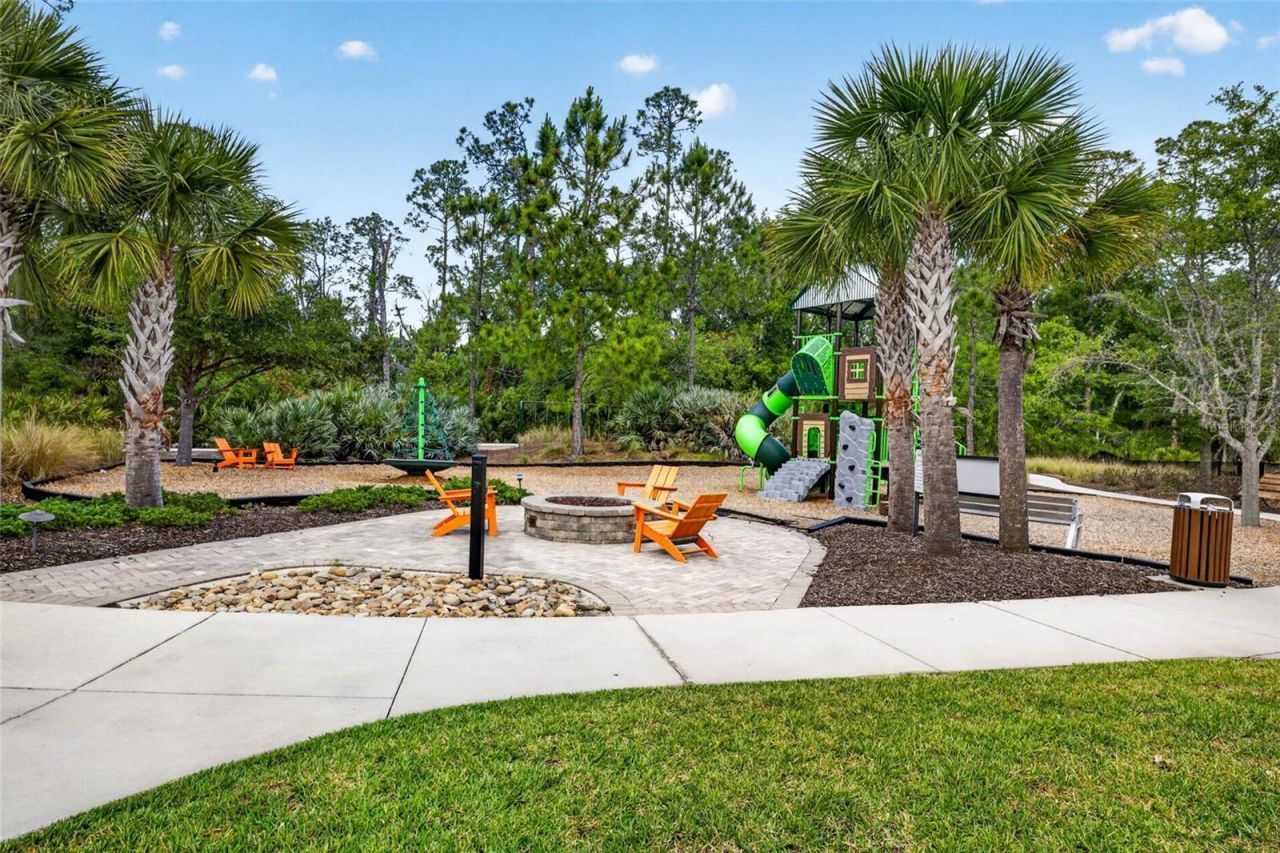 16181 November Rain Court, Land O Lakes, FL 34638 Photo