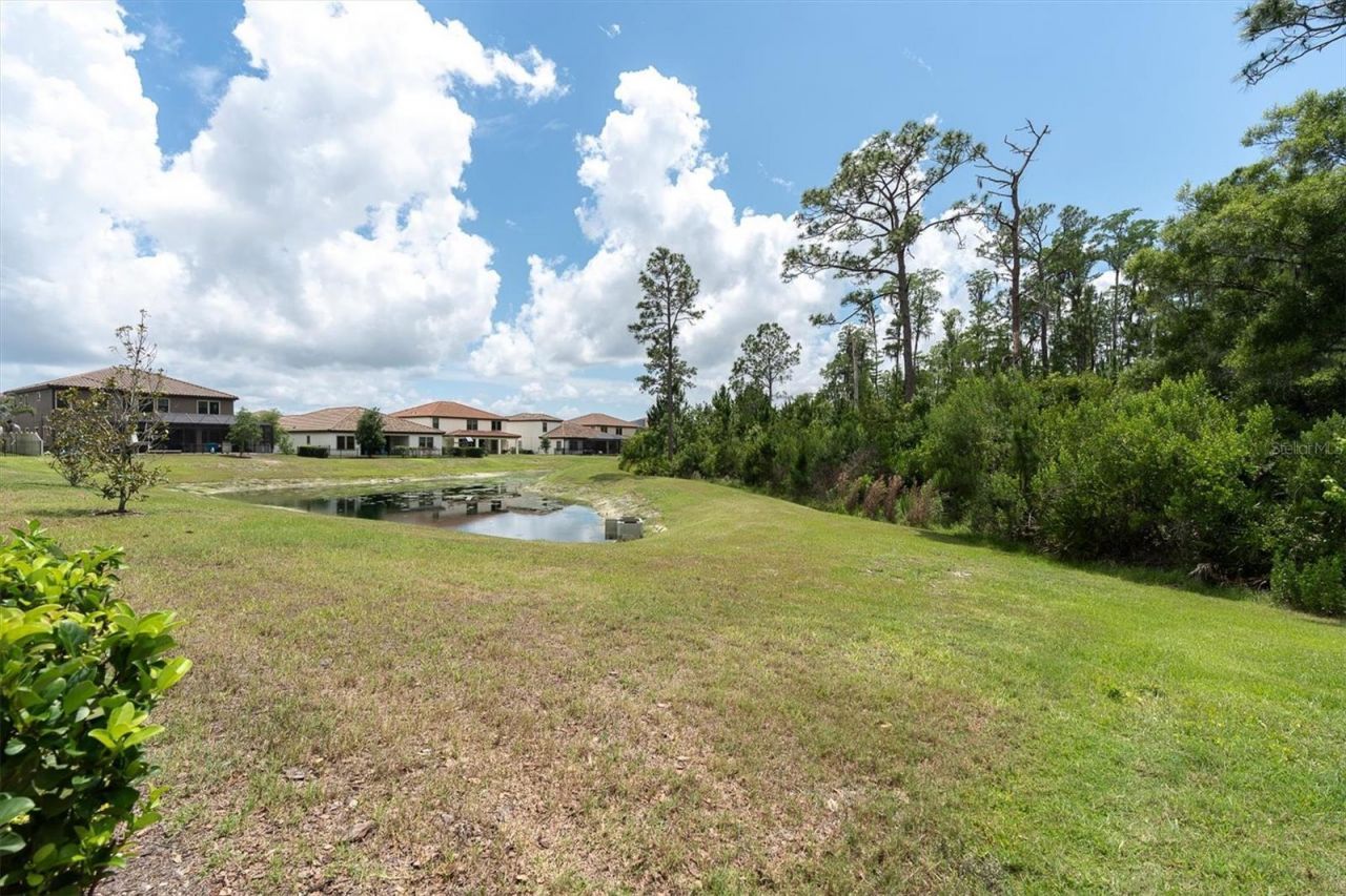 4023 Burdick Loop, Odessa, FL 33556 Photo