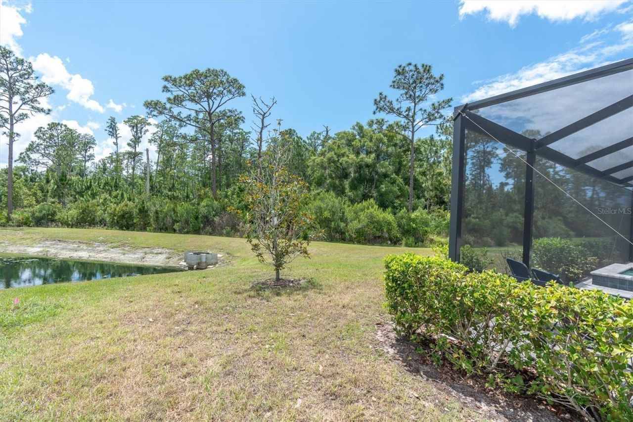 4023 Burdick Loop, Odessa, FL 33556 Photo