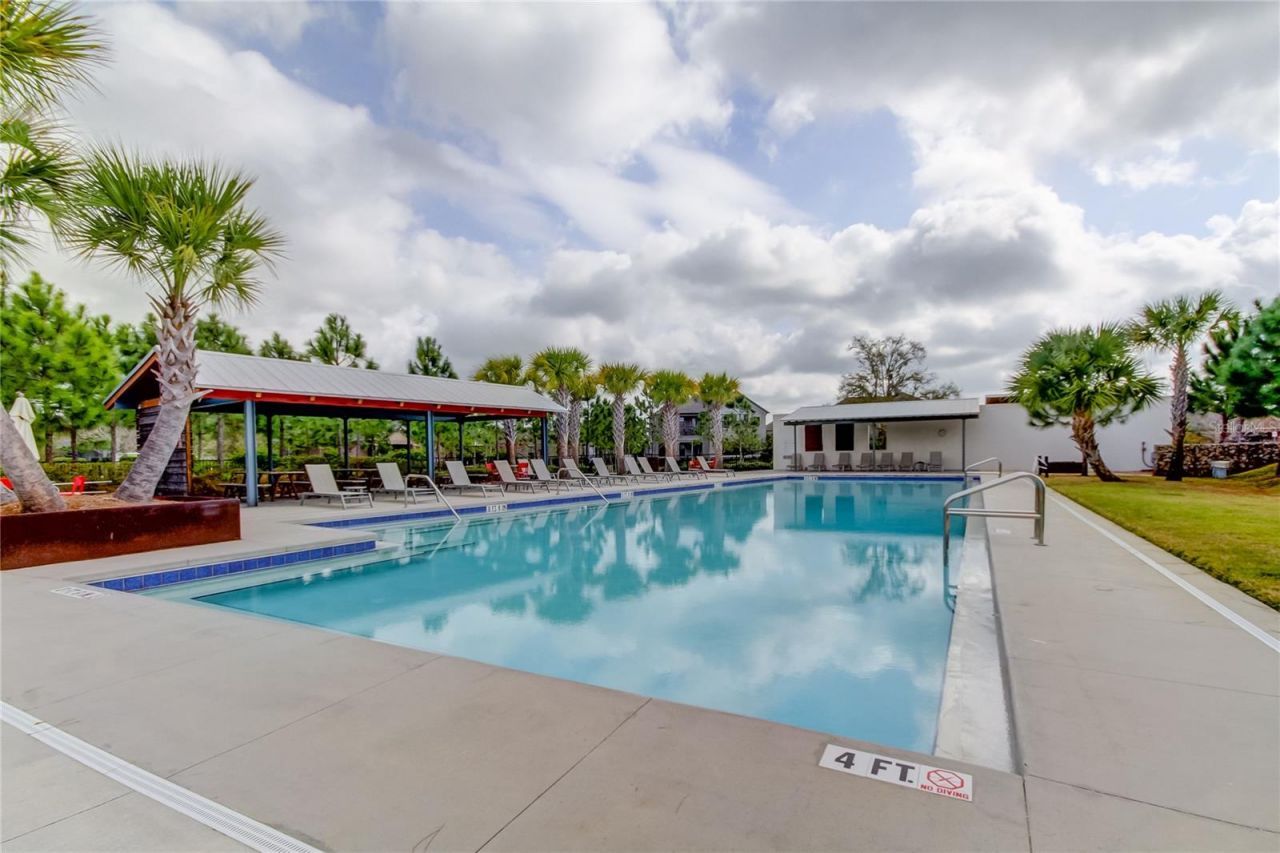 4023 Burdick Loop, Odessa, FL 33556 Photo