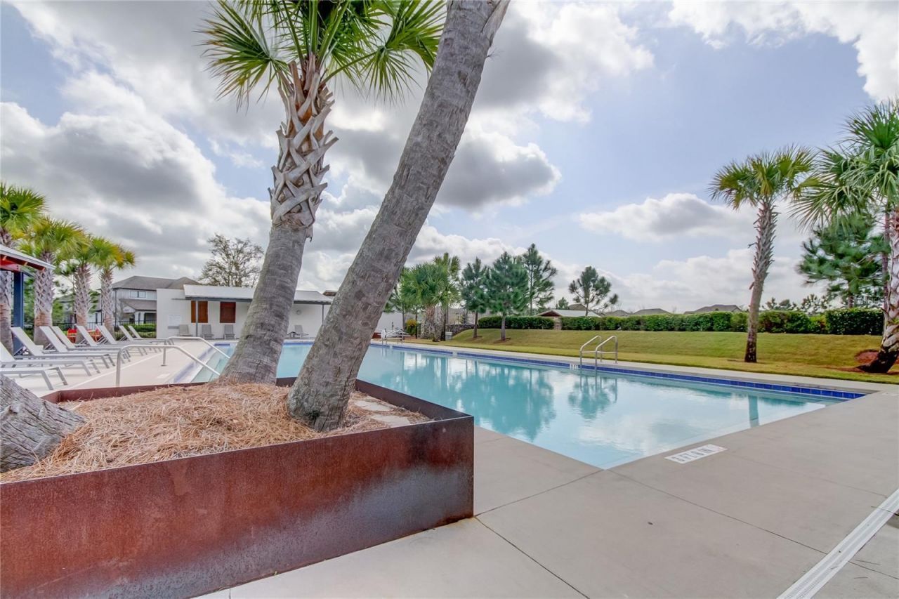 4023 Burdick Loop, Odessa, FL 33556 Photo
