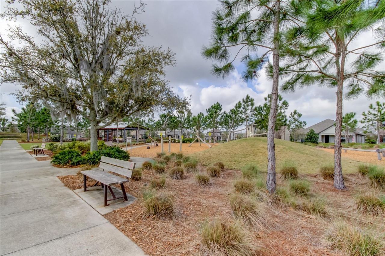 4023 Burdick Loop, Odessa, FL 33556 Photo