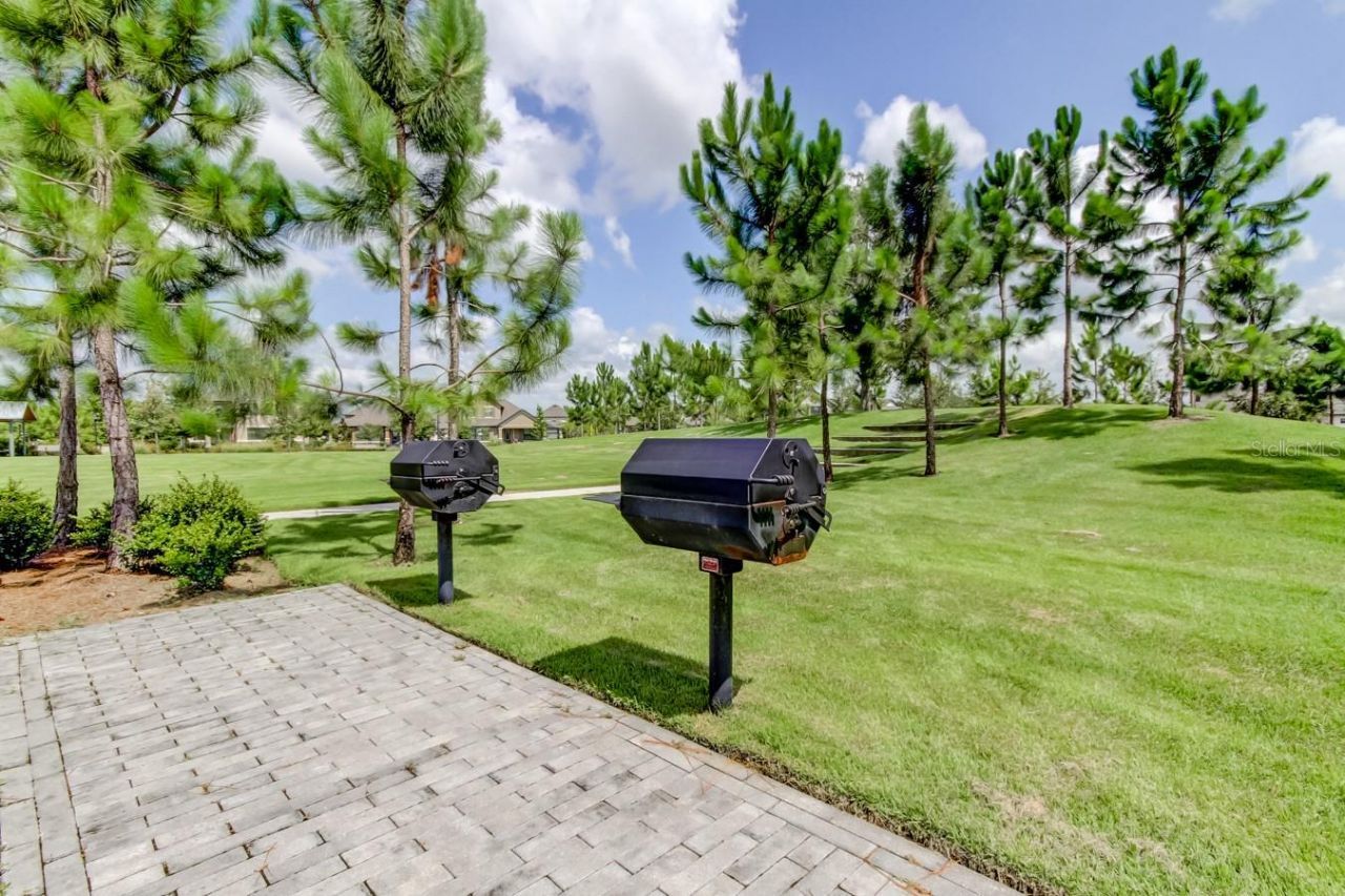 4023 Burdick Loop, Odessa, FL 33556 Photo