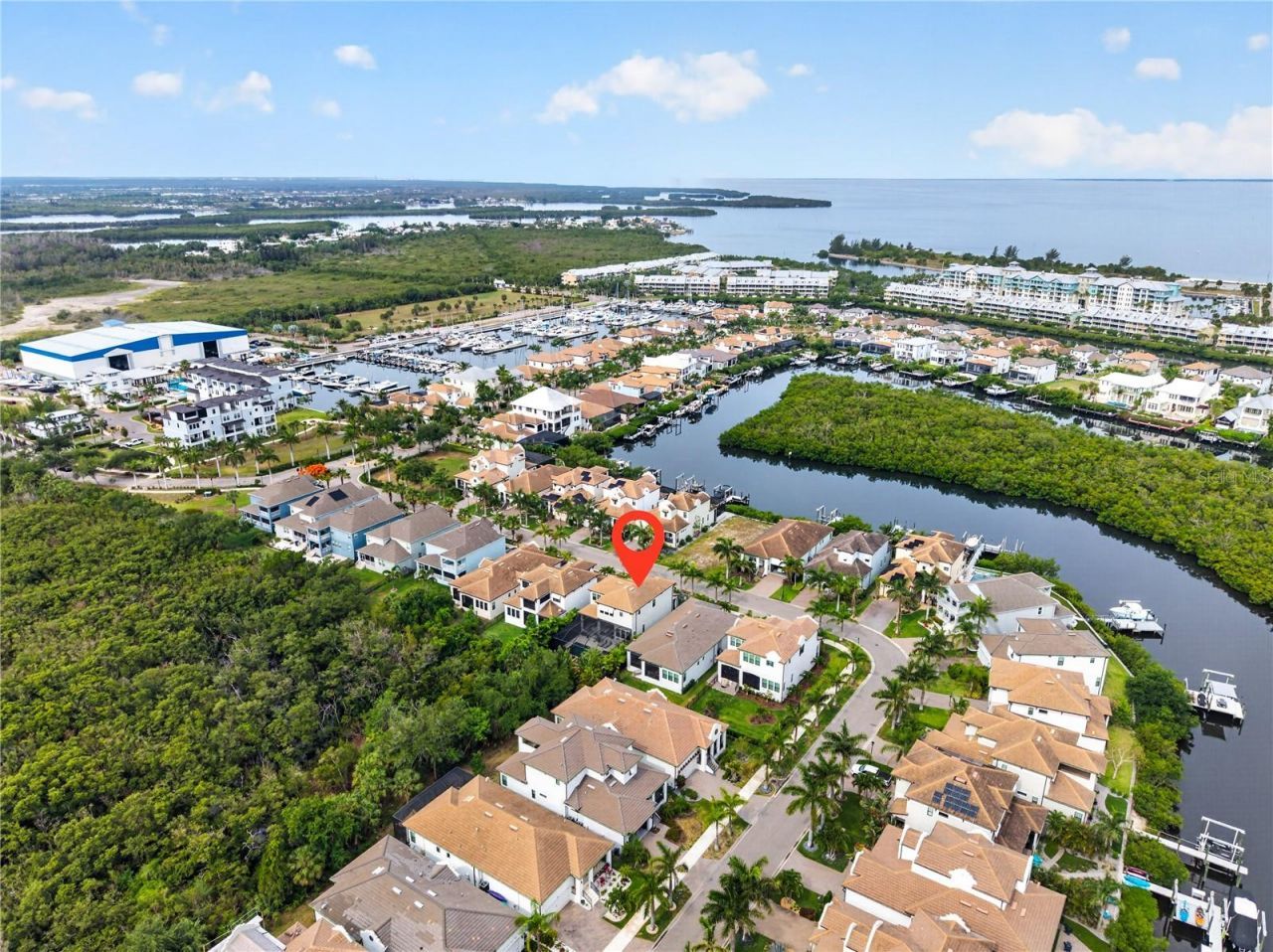 919 Seagrape Drive, Ruskin, FL 33570 Photo