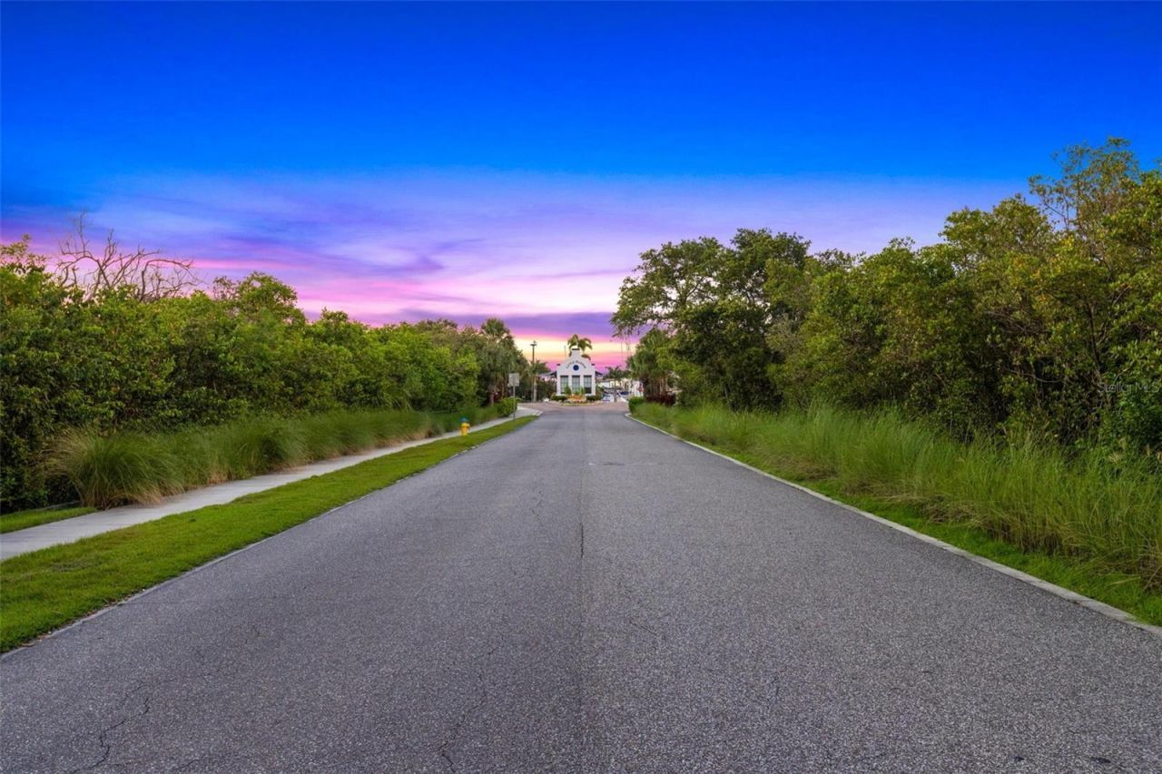 919 Seagrape Drive, Ruskin, FL 33570 Photo