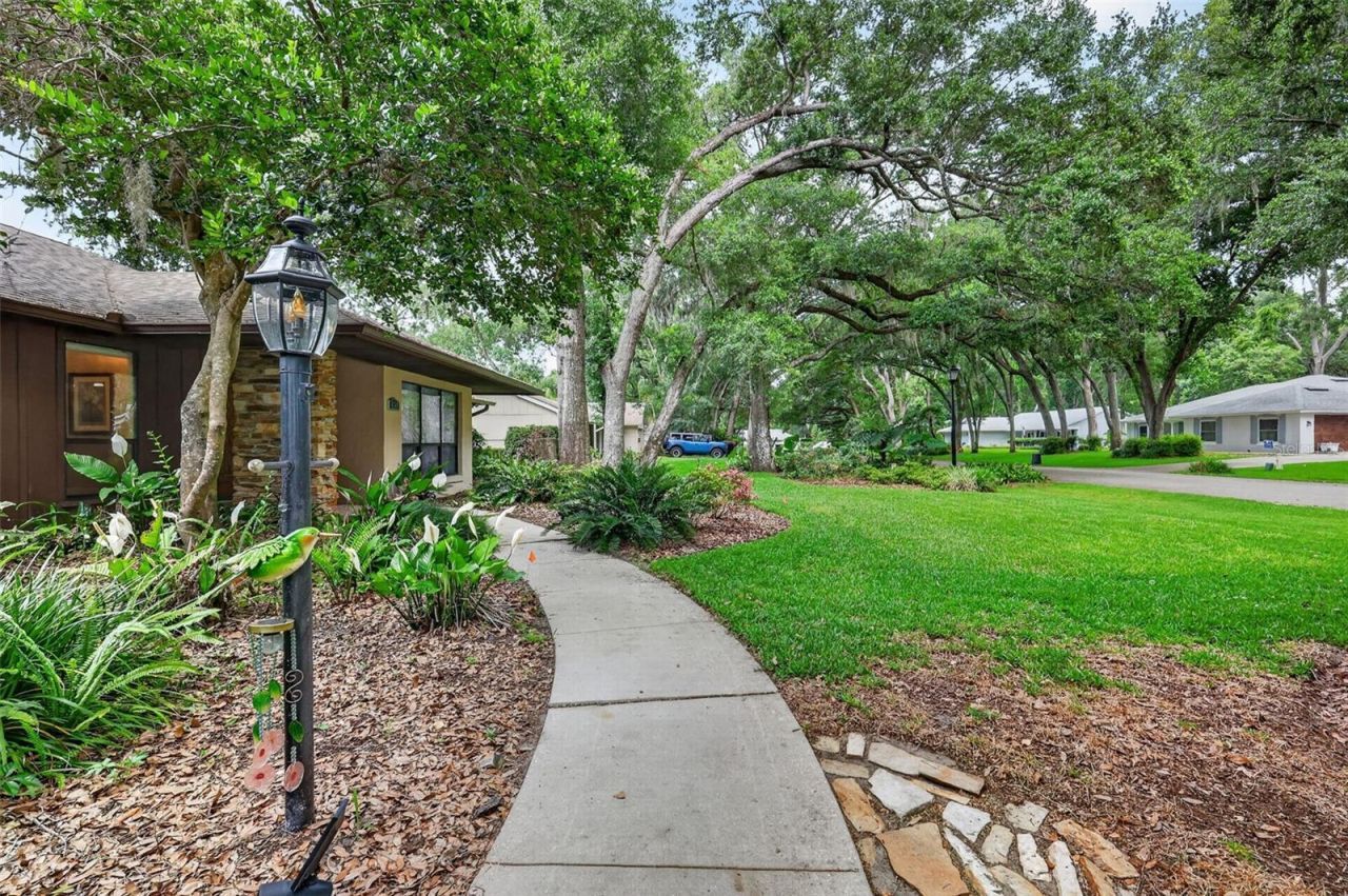 4141 Lake Forest Street, Mount Dora, FL 32757