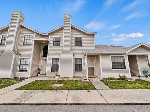 5314 ABINGER COURT , TAMPA, FL 33624