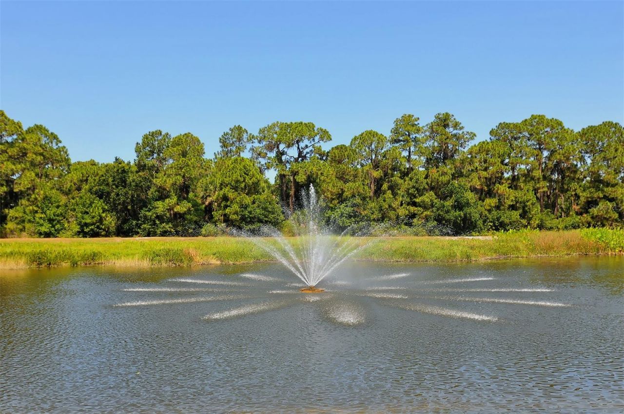 4839 Sweetmeadow Circle, Sarasota, FL 34238 Photo
