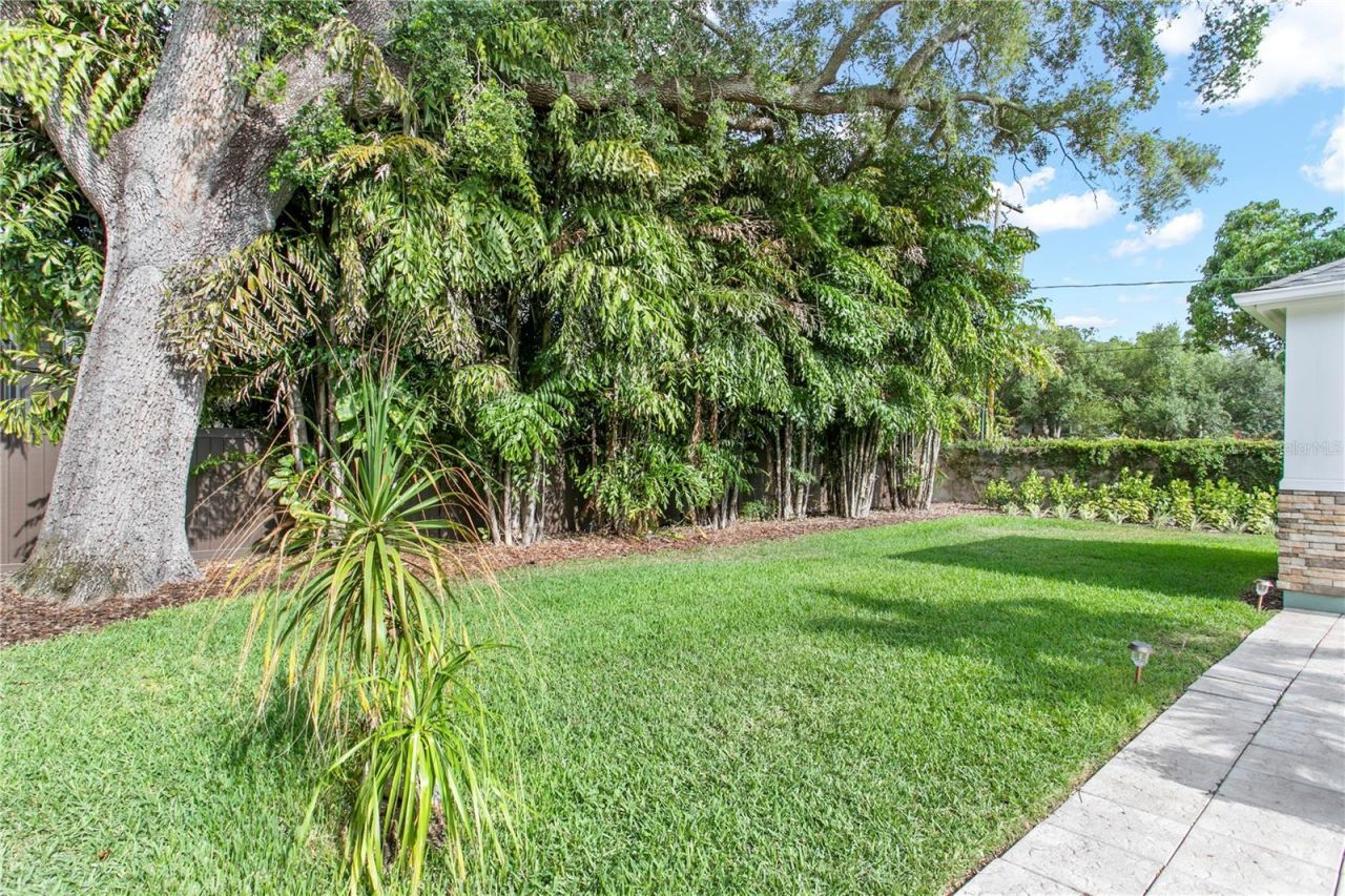 3126 W Oaklyn Avenue, Tampa, FL 33609 Photo