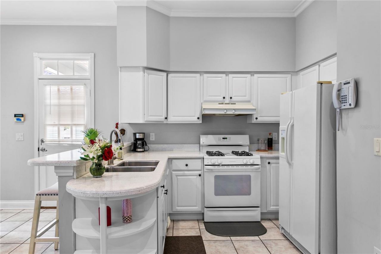 3126 W Oaklyn Avenue, Tampa, FL 33609 Photo