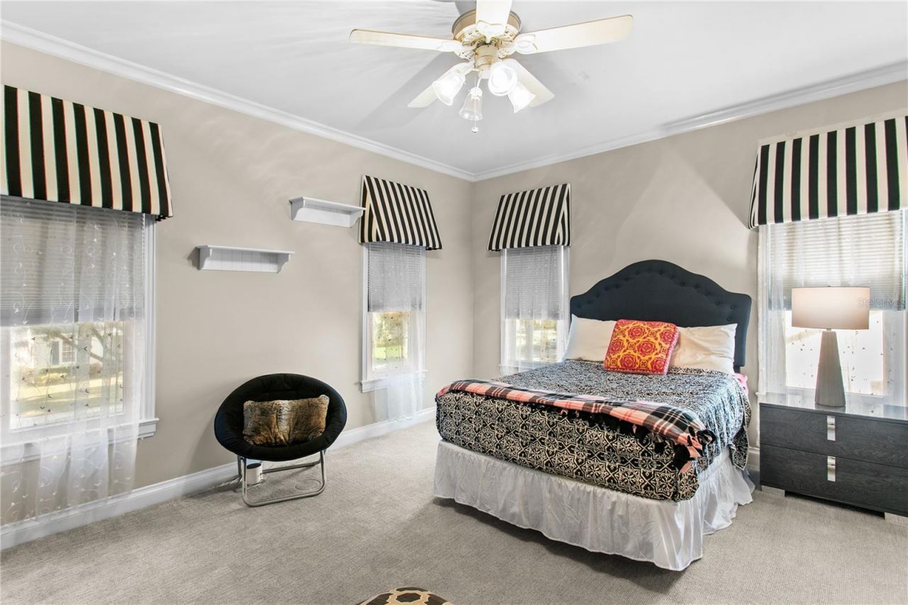 3126 W Oaklyn Avenue, Tampa, FL 33609 Photo