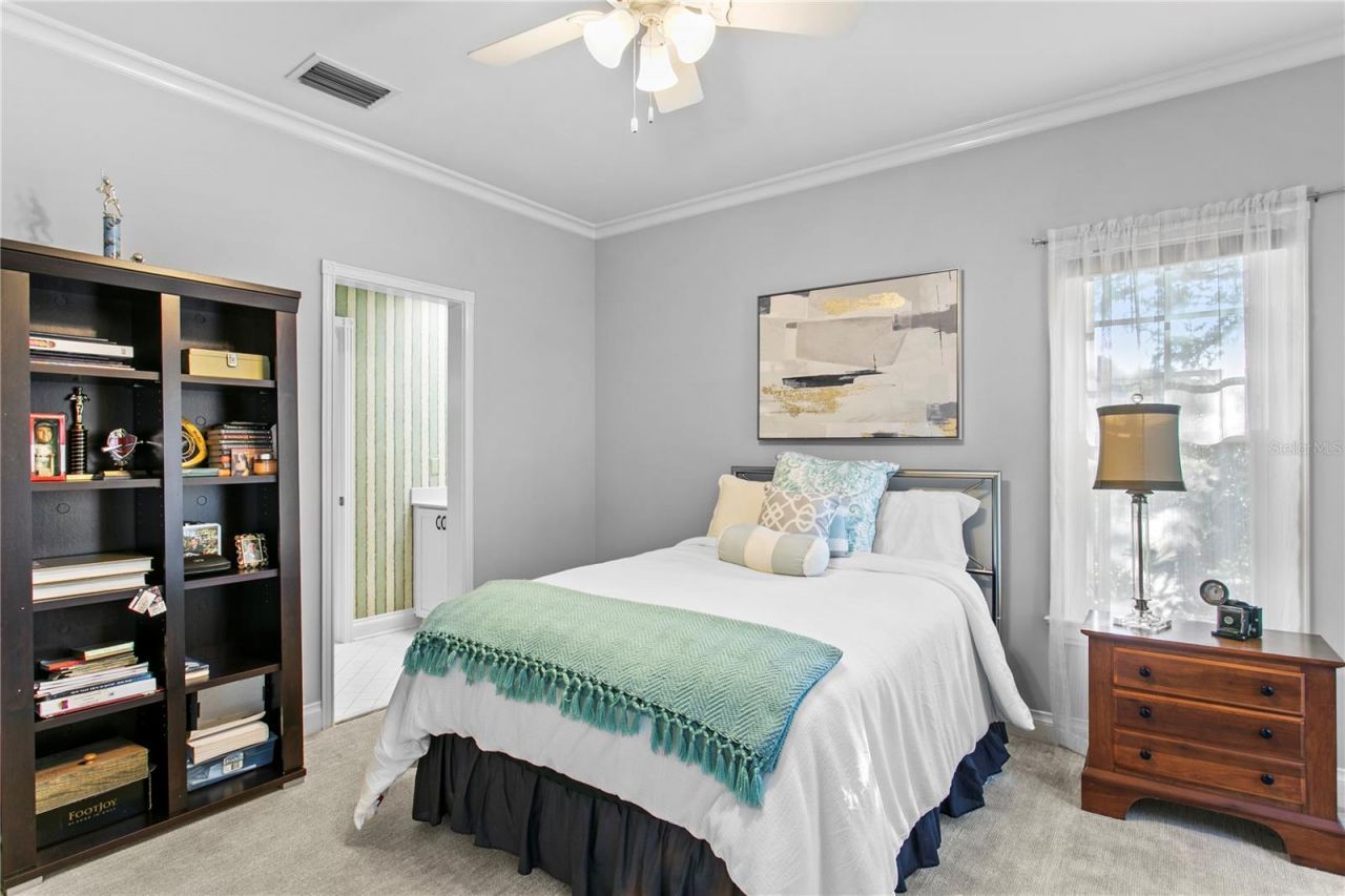 3126 W Oaklyn Avenue, Tampa, FL 33609 Photo