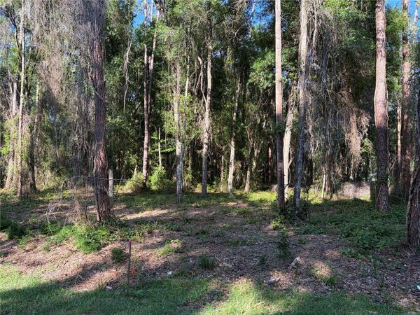 9192 CR 647CS , BUSHNELL, FL 33513