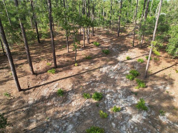 148TH COURT , MORRISTON, FL 32668