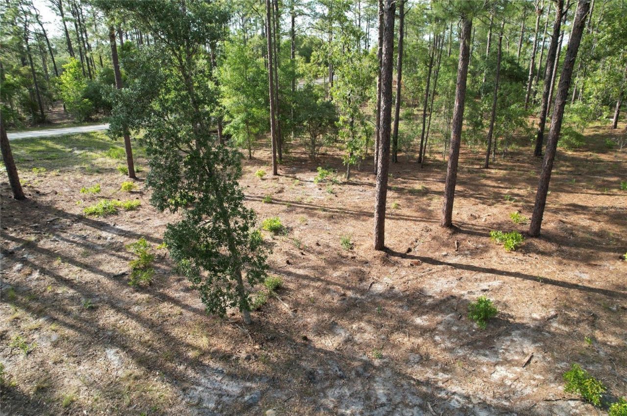 148th Court , Morriston, FL 32668 Photo