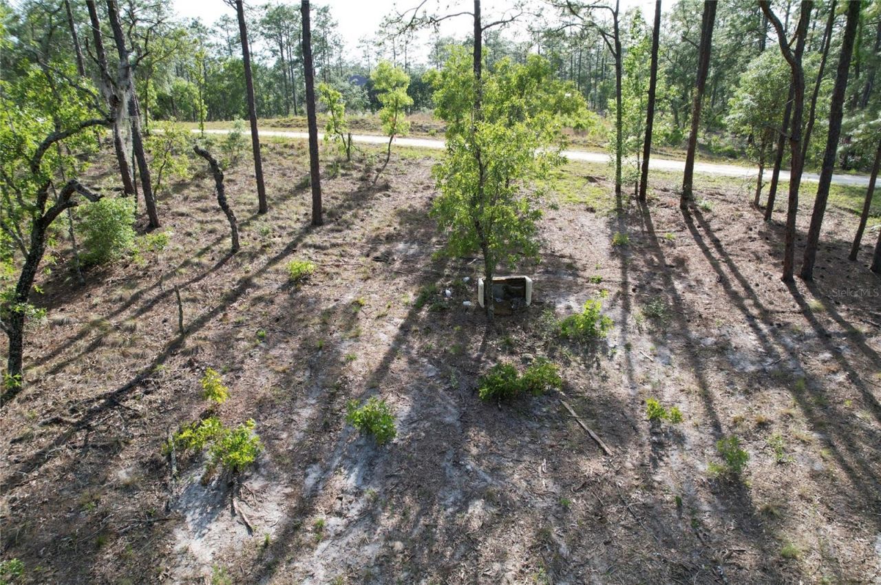 148th Court , Morriston, FL 32668 Photo