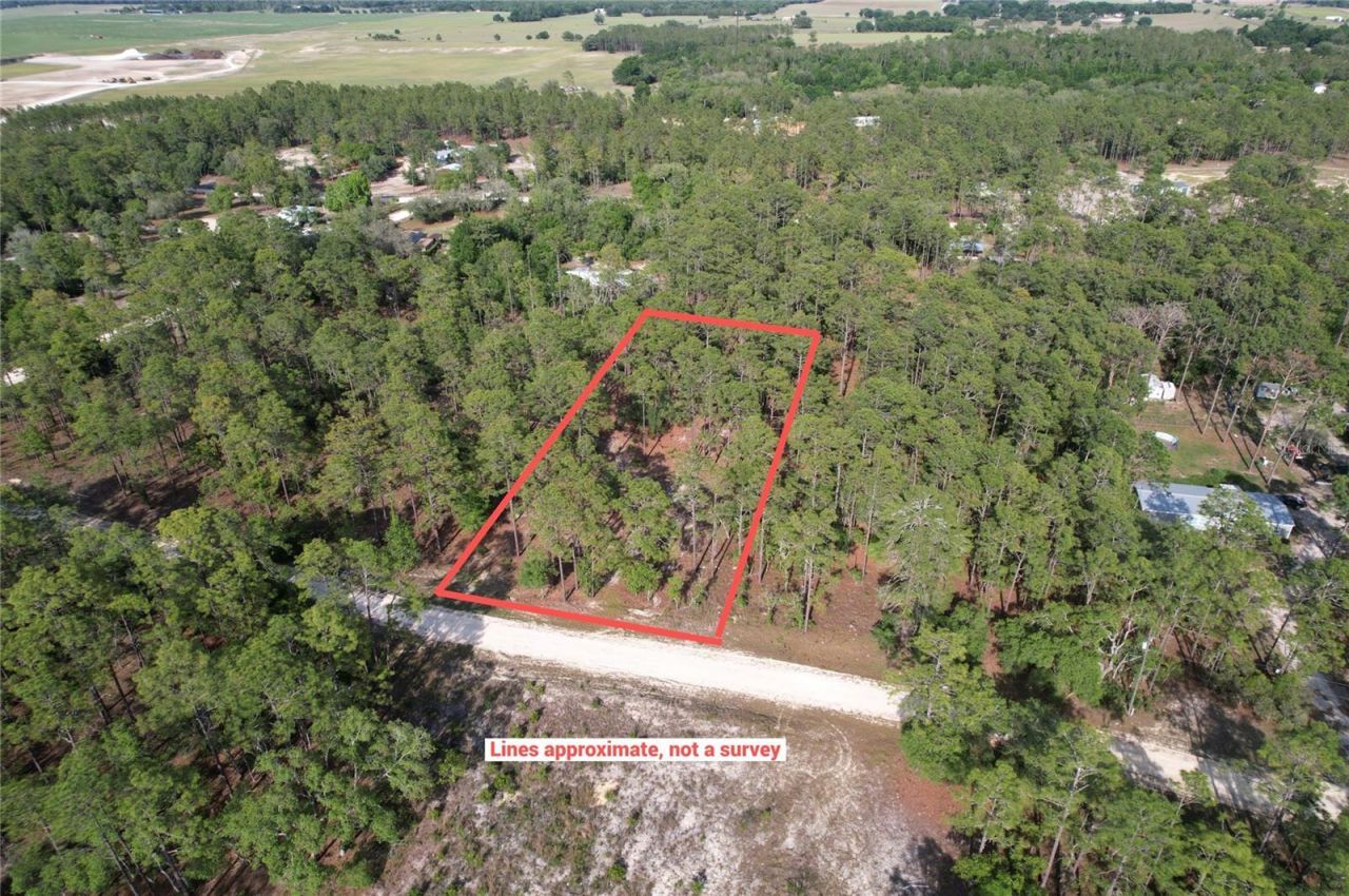 148th Court , Morriston, FL 32668 Photo