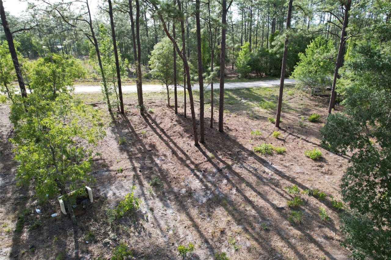 148th Court , Morriston, FL 32668 Photo