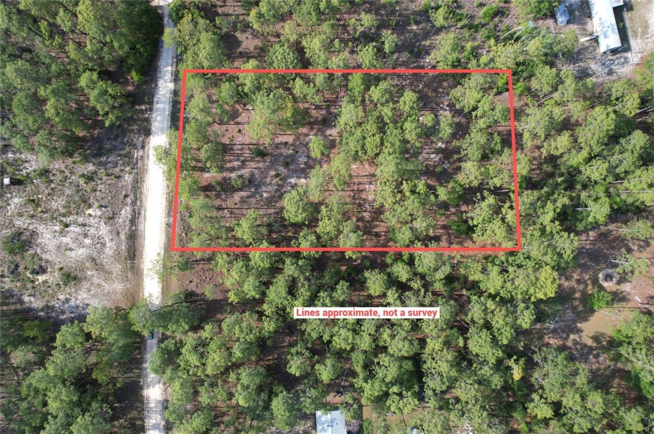 148th Court , Morriston, FL 32668 Photo