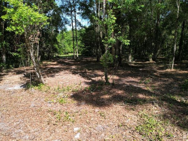 SE 164TH TERRACE , WILLISTON, FL 32696