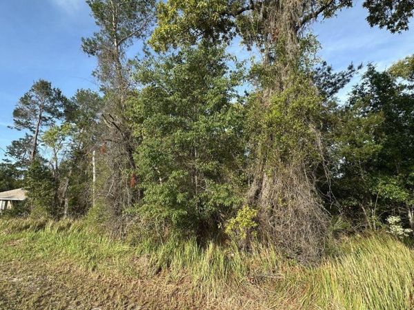 0 OLIVE CIRCLE , OCALA, FL 34472
