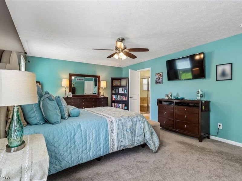 3909 Willow Way, Kent, OH 44240 Photo 20