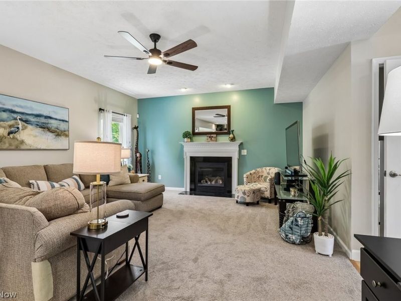 3909 Willow Way, Kent, OH 44240 Photo 9