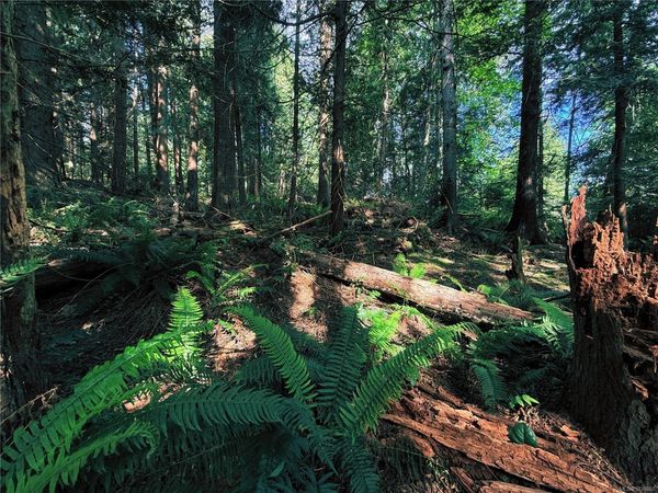 Lot 6 Spruce Ave, Gabriola Island, BC V0R 1X1