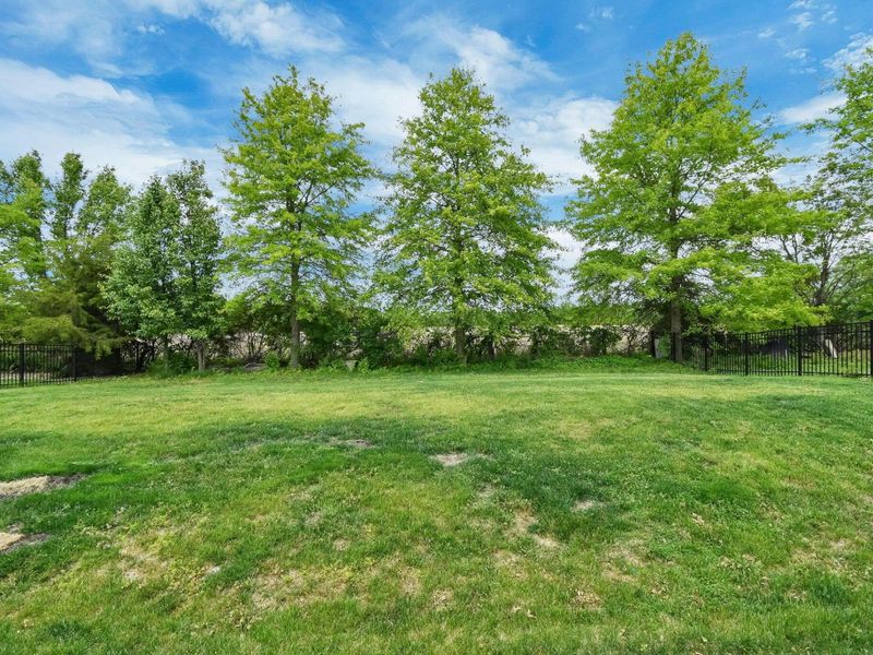 369 Crownover Way, Lewis Center, OH 43035 Photo 43