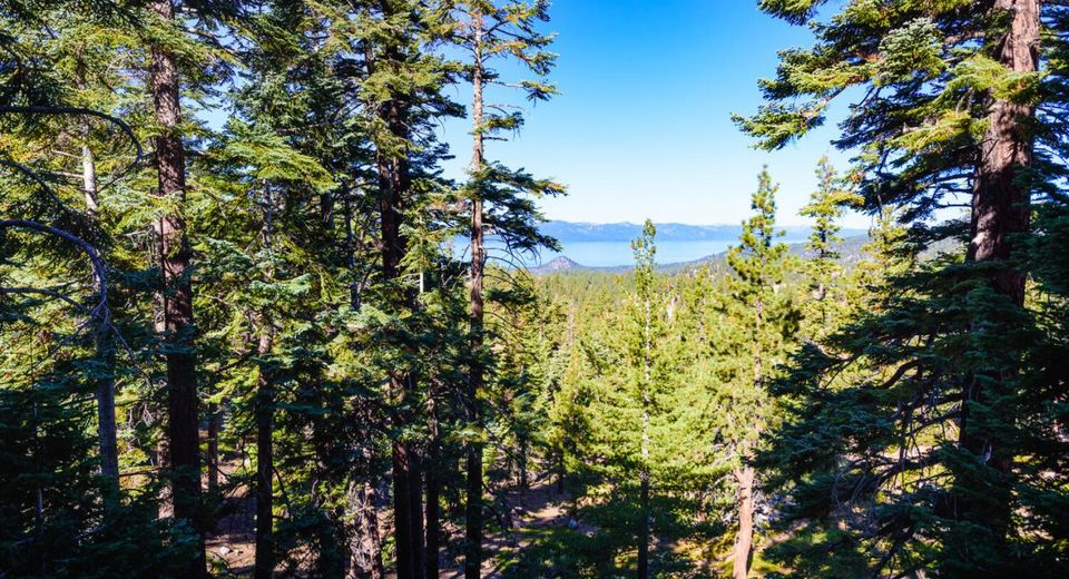 754 Milky Way Court, Unit # B, Stateline, NV 89449 Photo