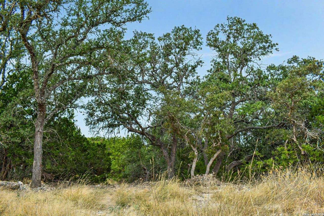 08 W Bison Way, Harper, TX 78631 Main Photo