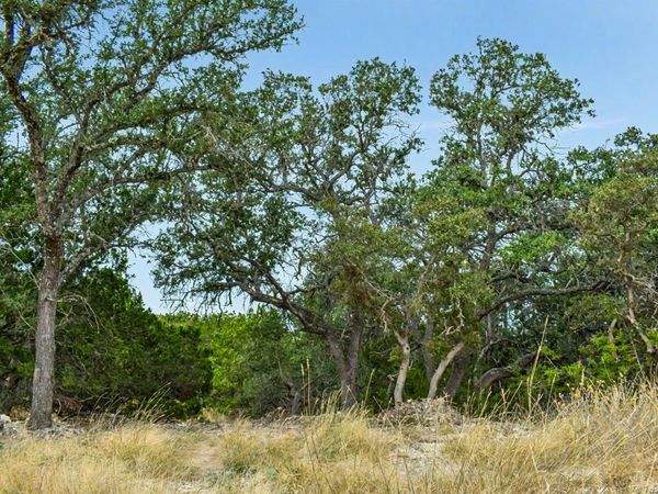 08 W Bison Way, Harper, TX 78631
