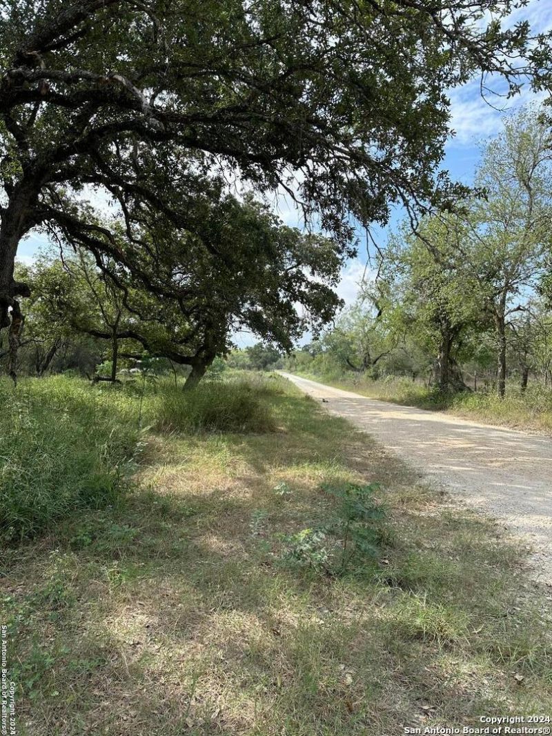 20594 S State Highway 16, Atascosa, TX 78264 Main Photo