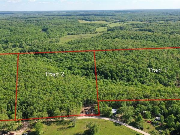 Tract 1 County Rd 4215, Salem, MO 65560