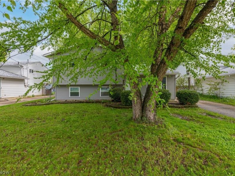 35150 Spruce Street , North Ridgeville, OH 44039 Photo 2