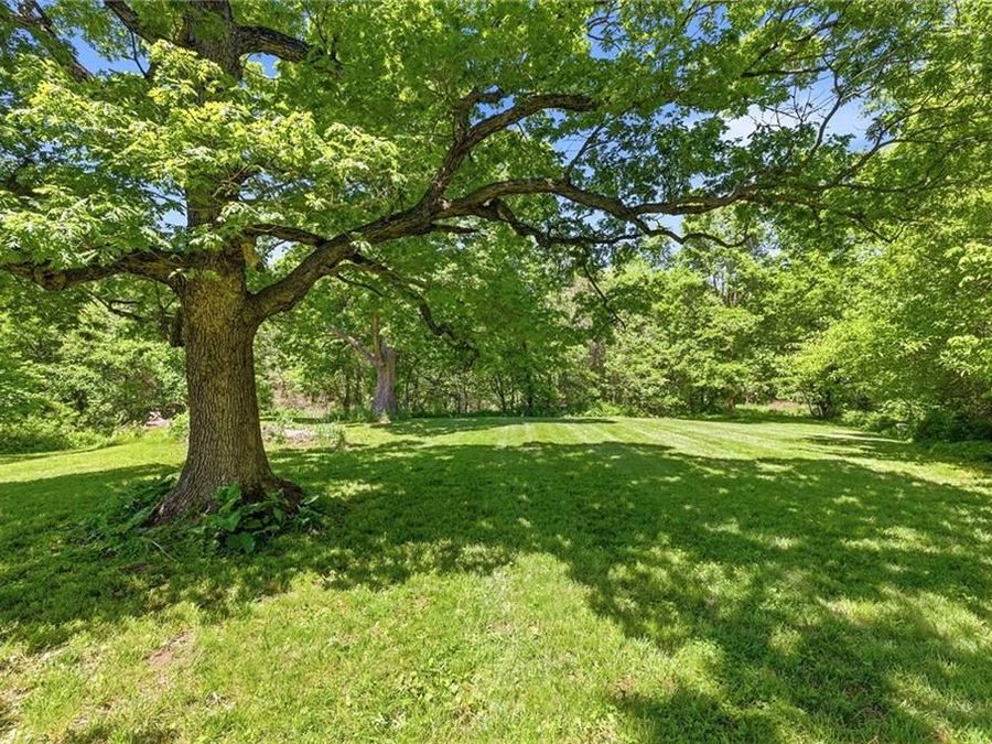 Property Image 55