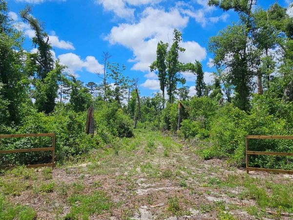 TBD 237TH ROAD, Live Oak, FL 32060