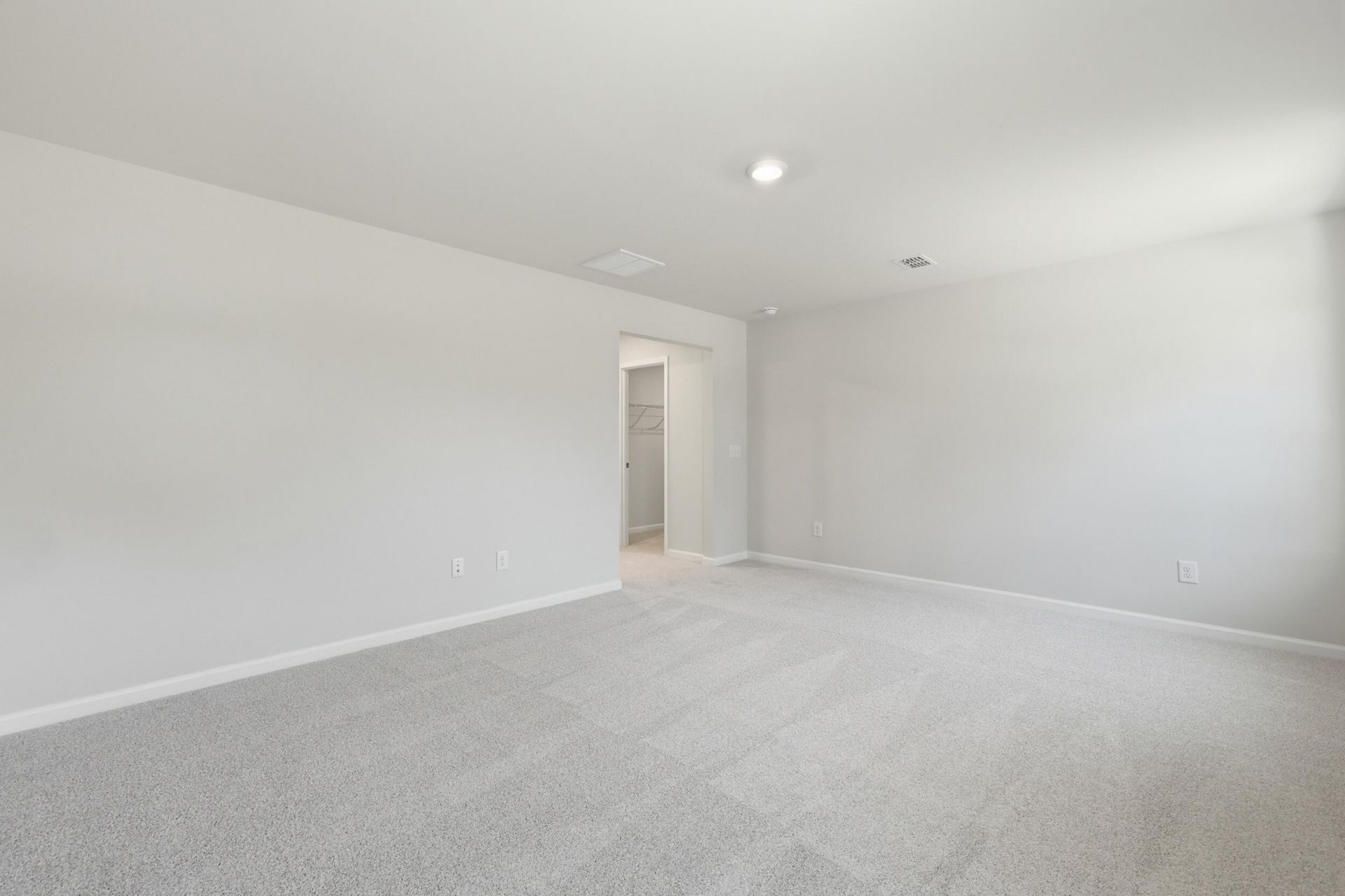 216 Twinleaf Court Photo 17