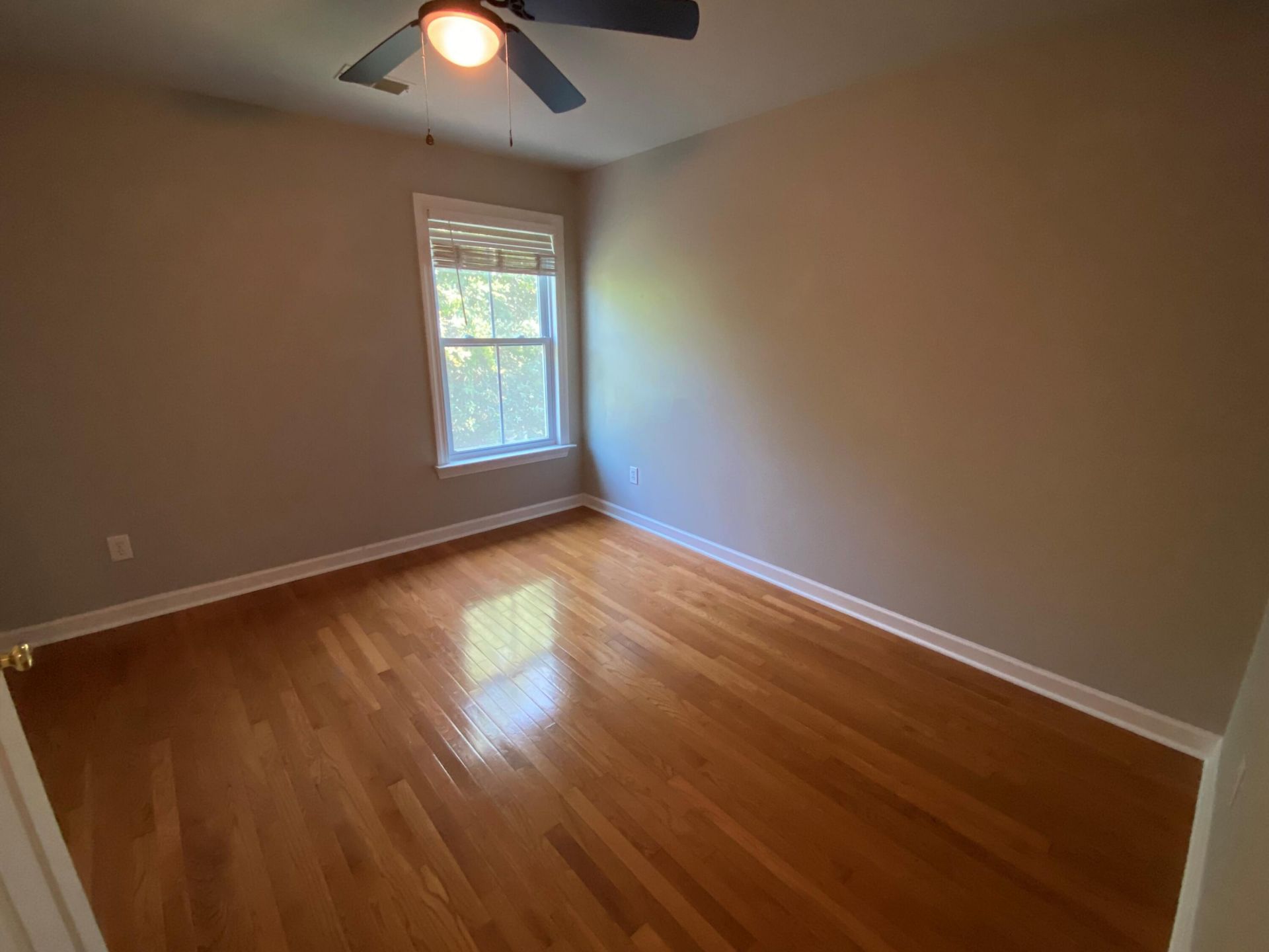 183 Scott Street Photo 22