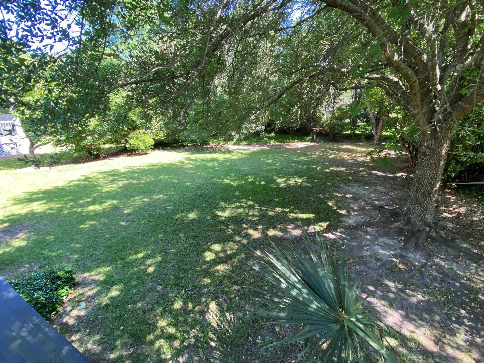 183 Scott Street Photo 9