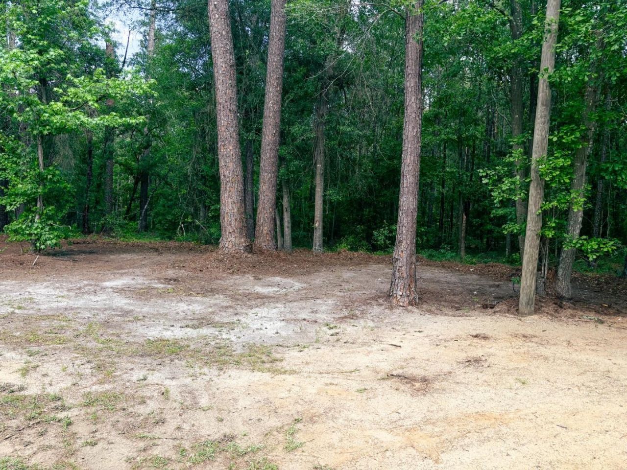 2134 Moccasin Bluff Rd Photo 20