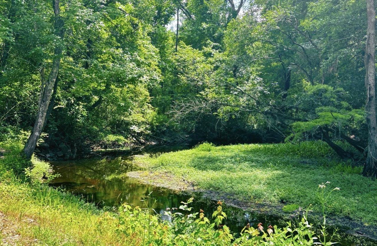 2134 Moccasin Bluff Rd Photo 27