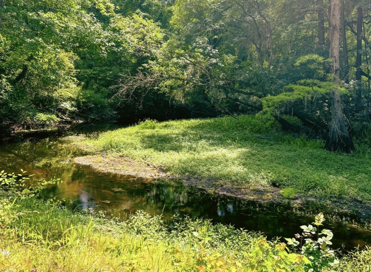 2134 Moccasin Bluff Rd Photo 28