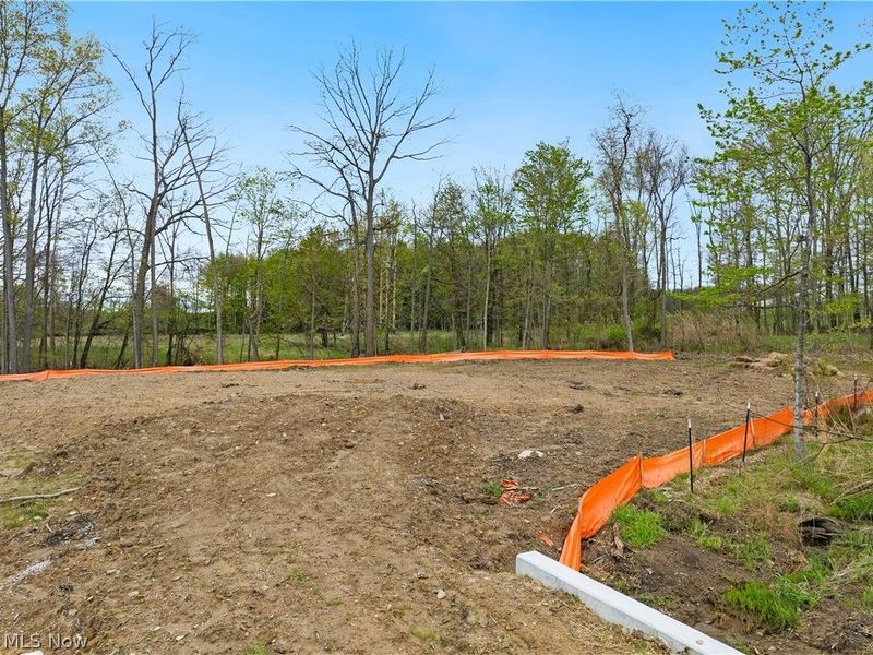 9526 River Birch Run, Brecksville, OH 44141 Photo 3