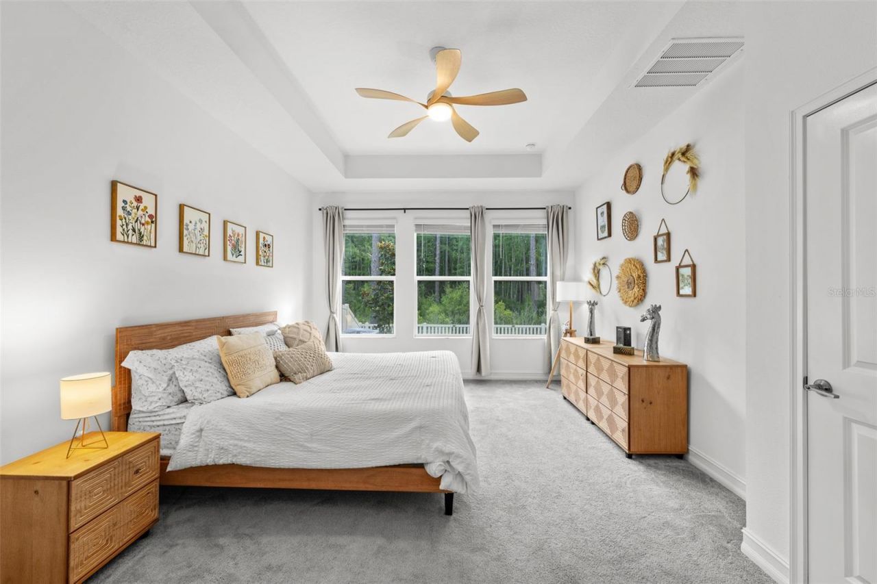 18242 Serene Lake Loop, Lutz, FL 33548 Photo